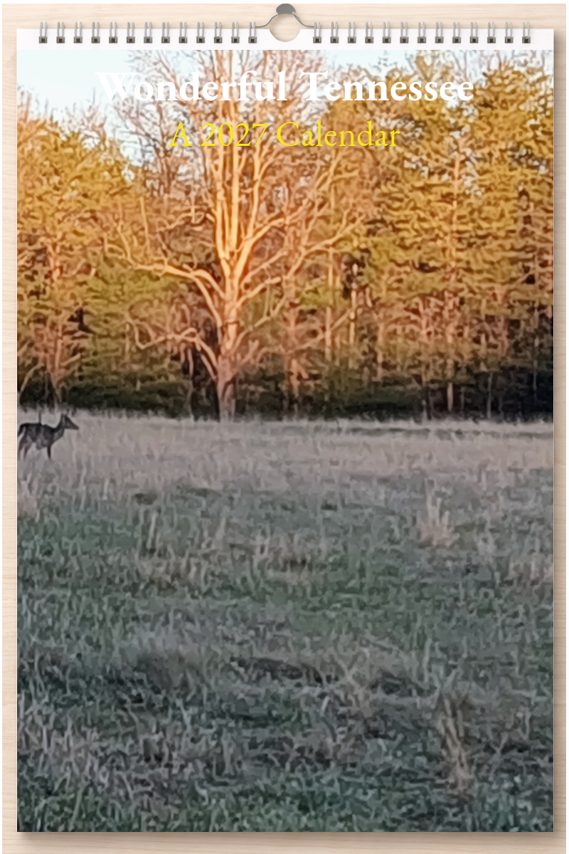 Wonderful Tennessee: A 2027 Calendar