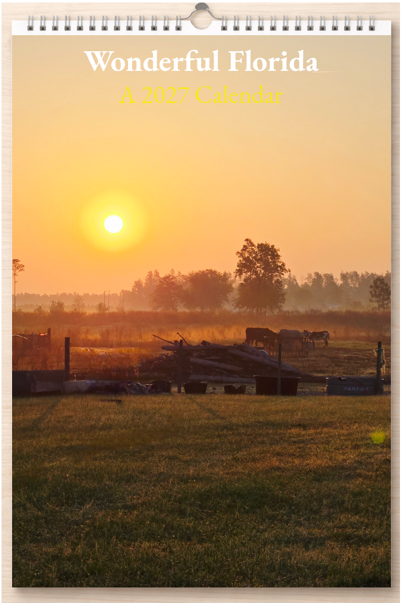 Wonderful Florida: A 2027 Calendar