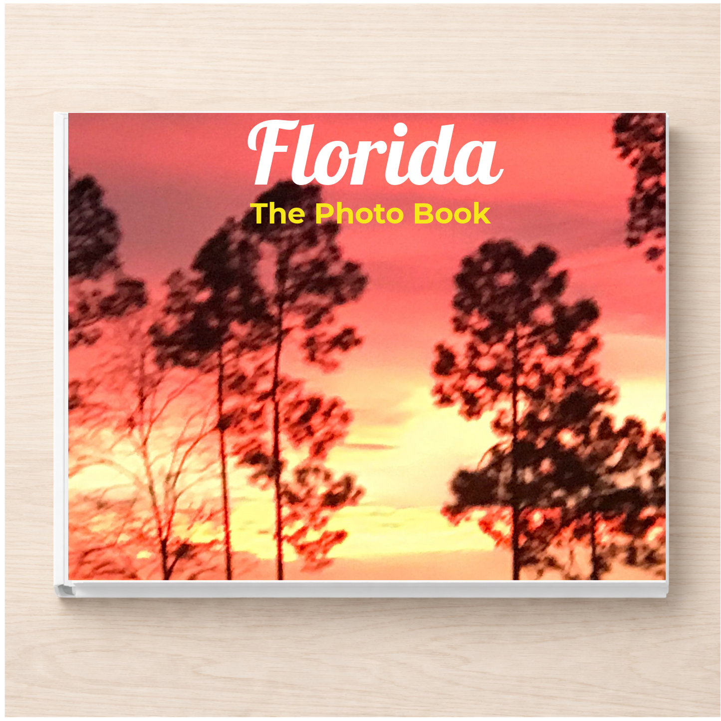 Florida: The Photo Book