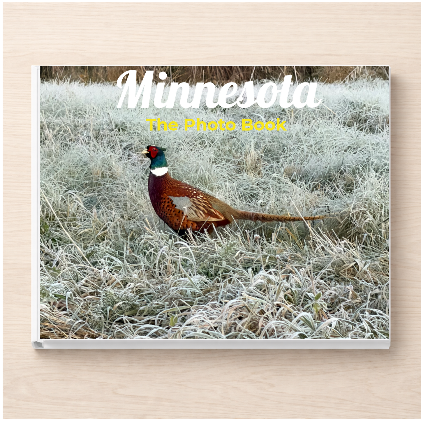 Minnesota: The Photo Book
