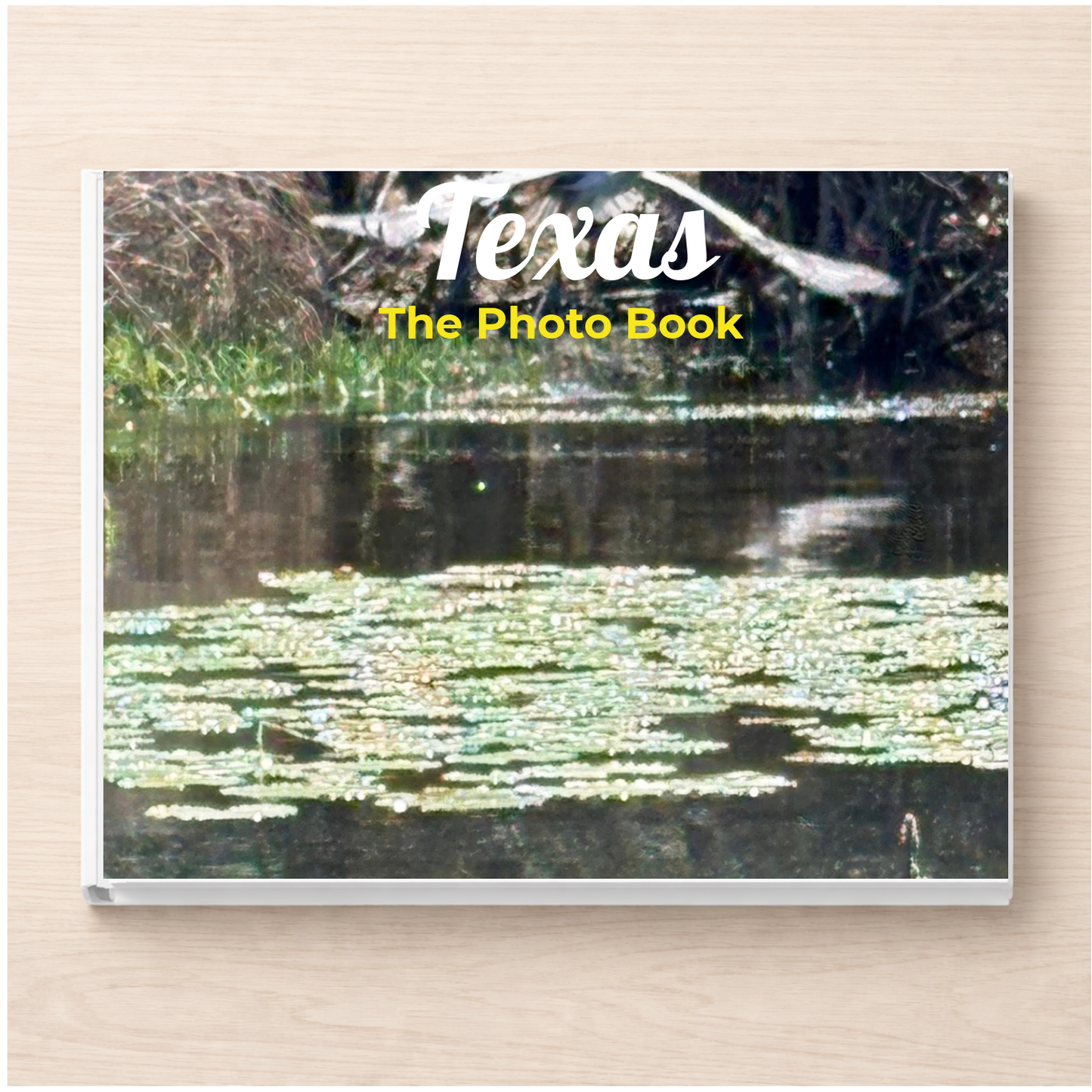Texas: The Photo Book