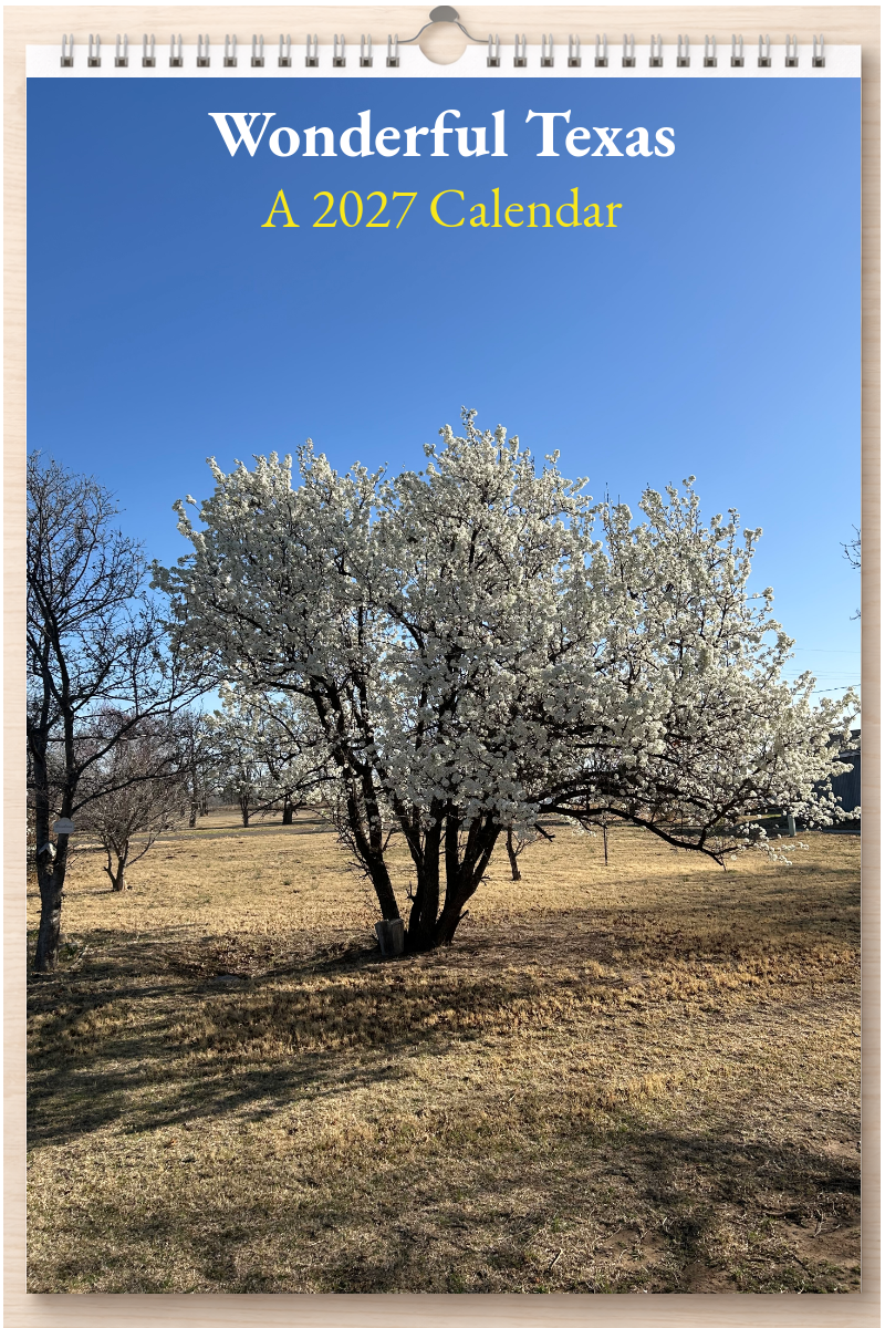 Wonderful Texas: A 2027 Calendar