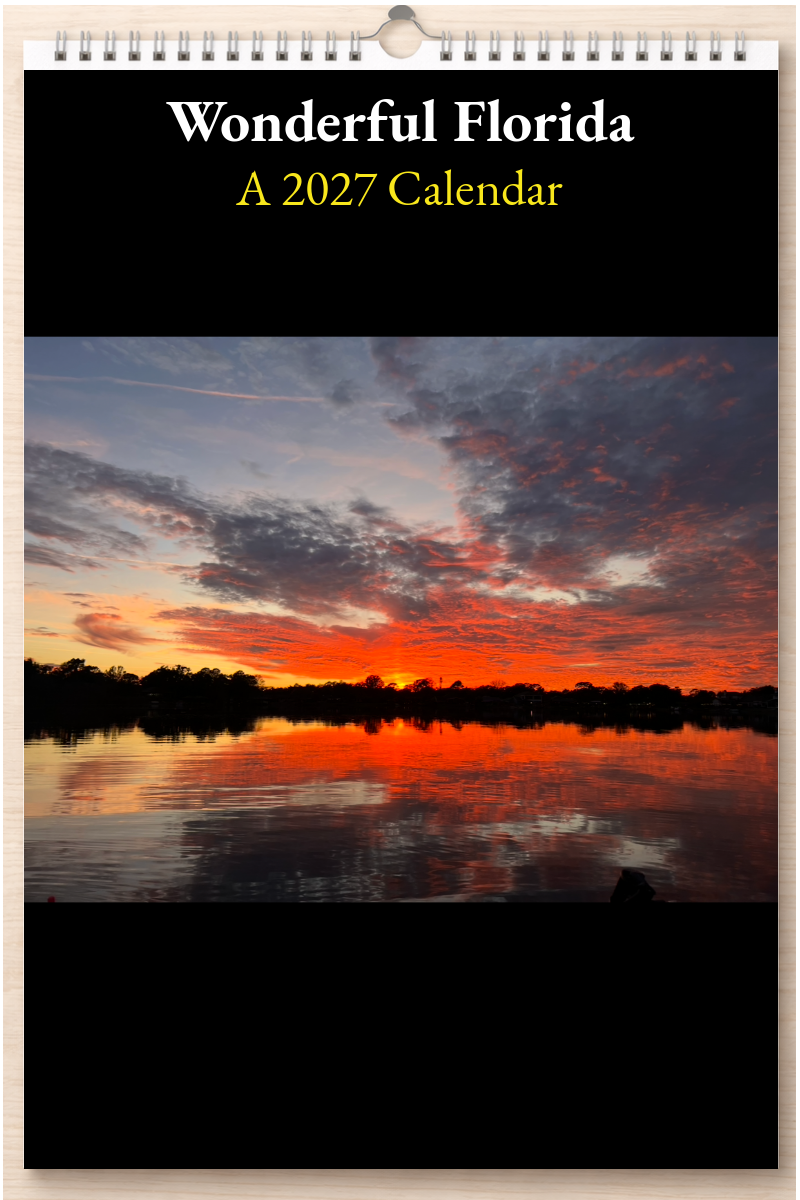 Wonderful Florida: A 2027 Calendar