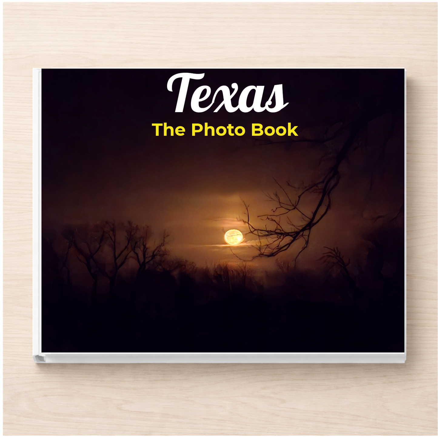 Texas: The Photo Book