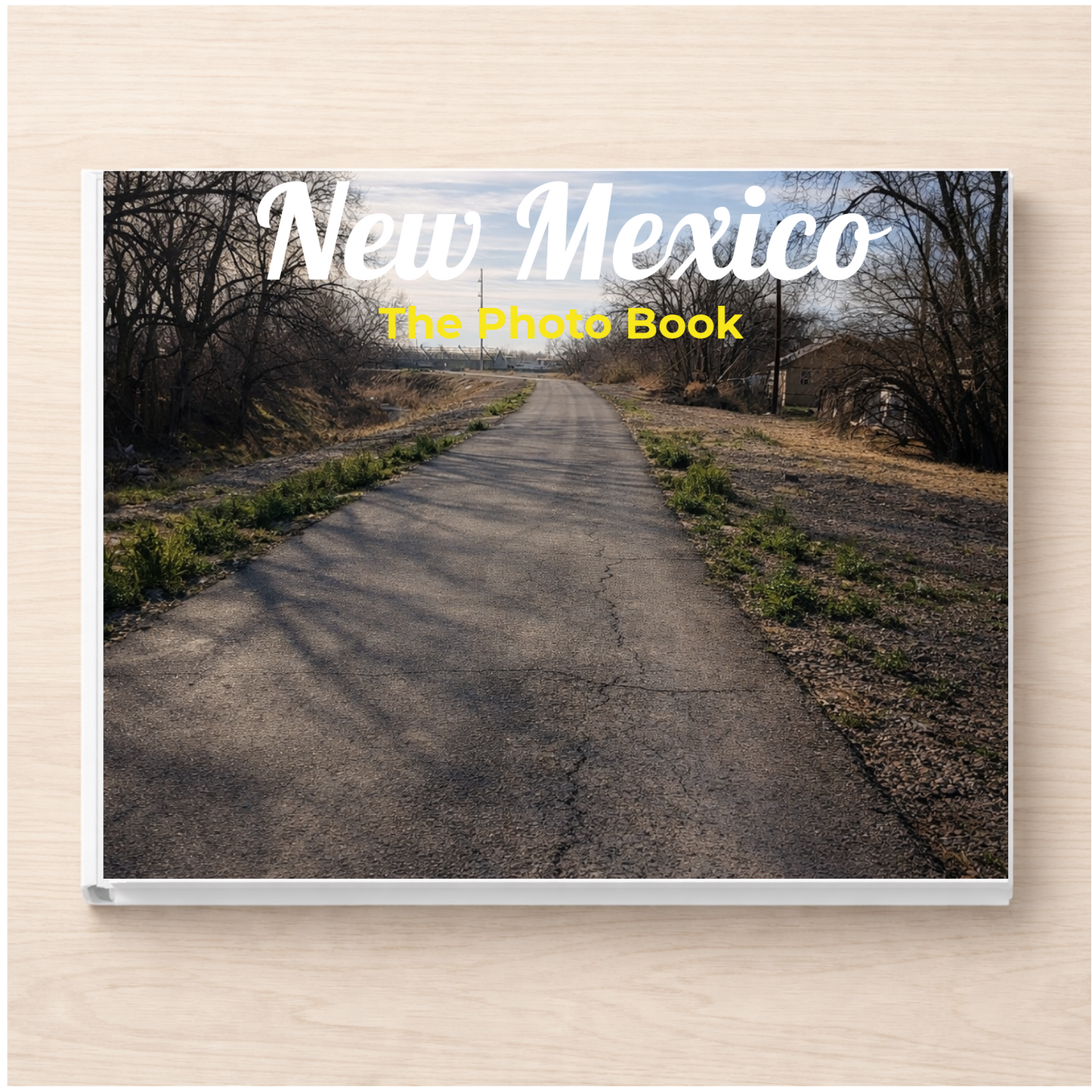 New Mexico: The Photo Book
