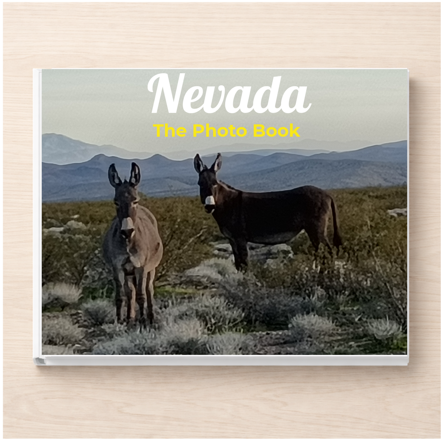 Nevada: The Photo Book