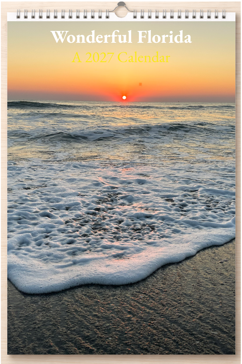 Wonderful Florida: A 2027 Calendar