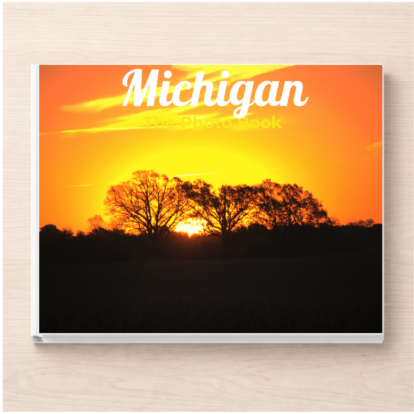 Michigan: The Photo Book