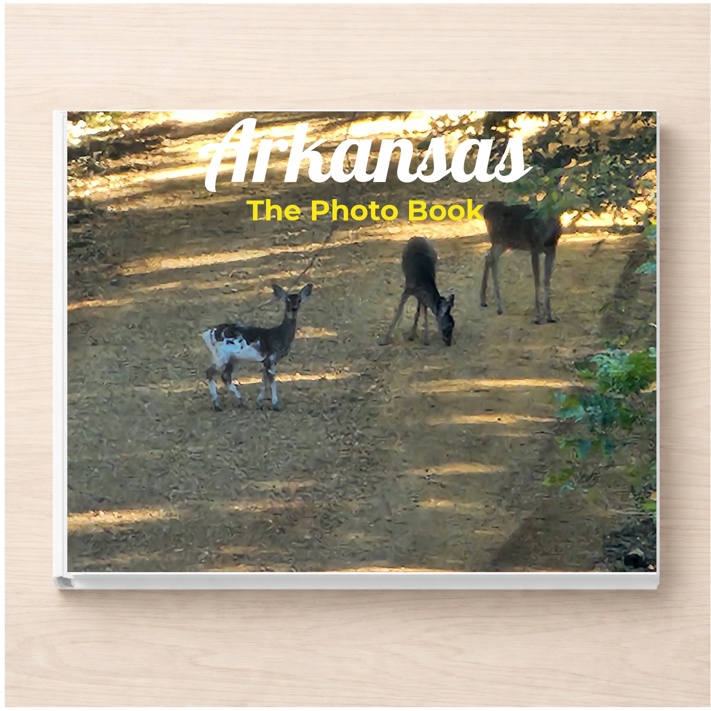 Arkansas: The Photo Book