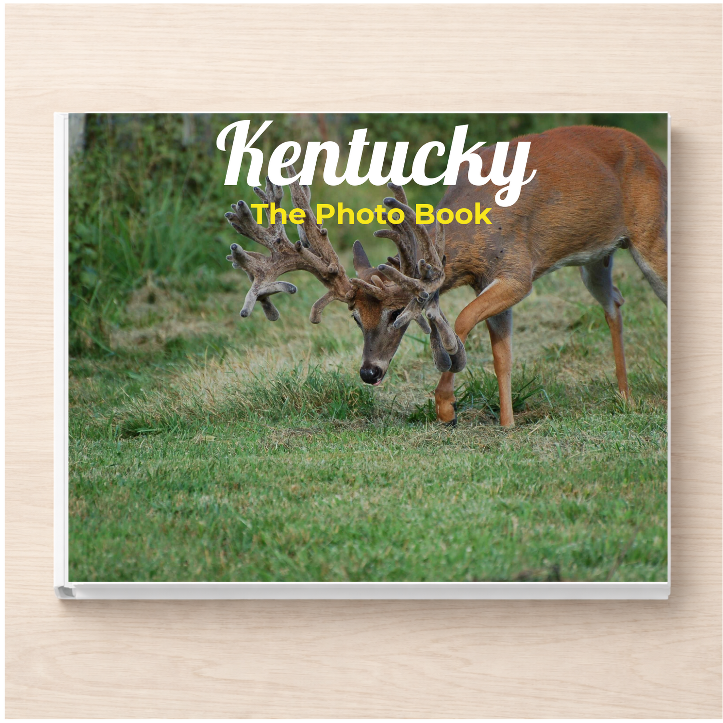 Kentucky: The Photo Book