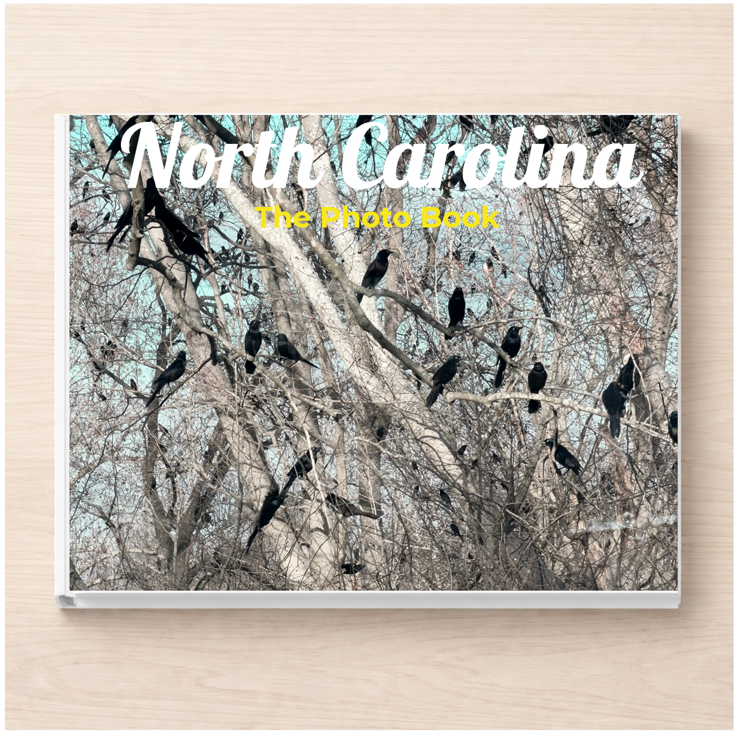 North Carolina: The Photo Book