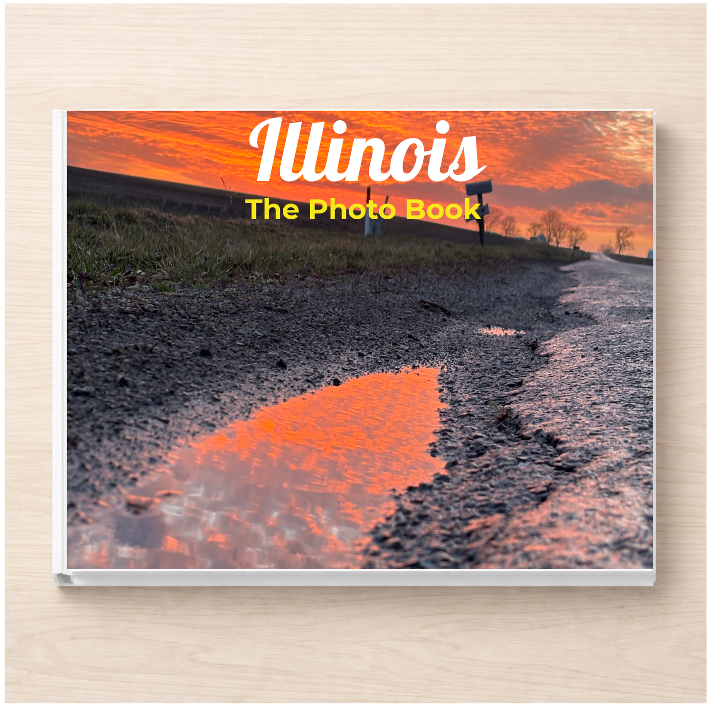 Illinois: The Photo Book