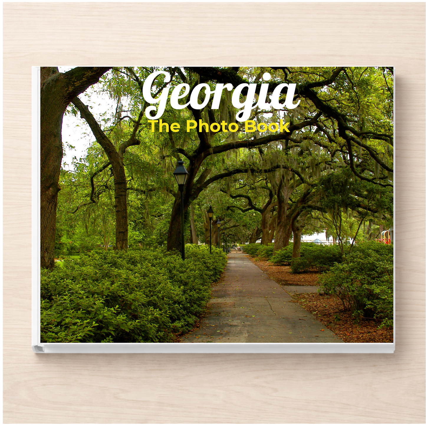 Georgia: The Photo Book