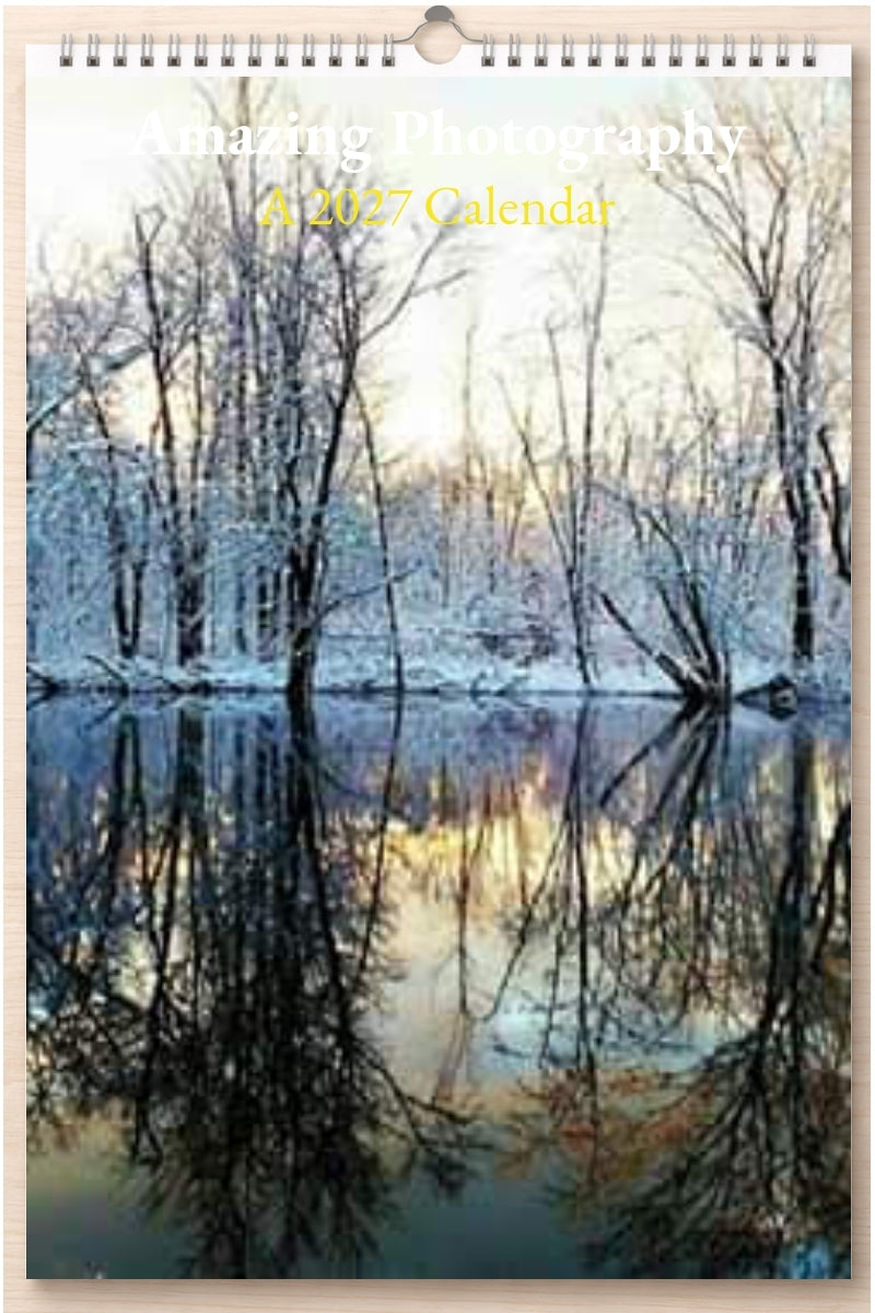 Amazing Photography: A 2027 Calendar