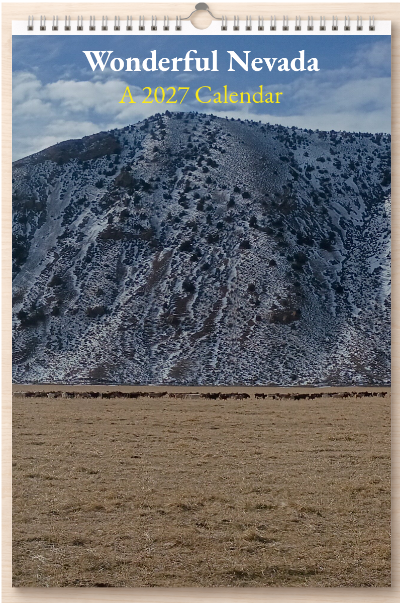 Wonderful Nevada: A 2027 Calendar