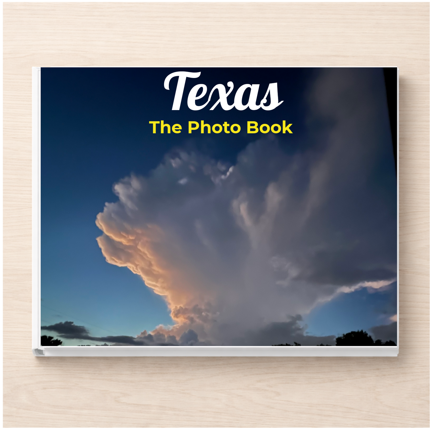 Texas: The Photo Book