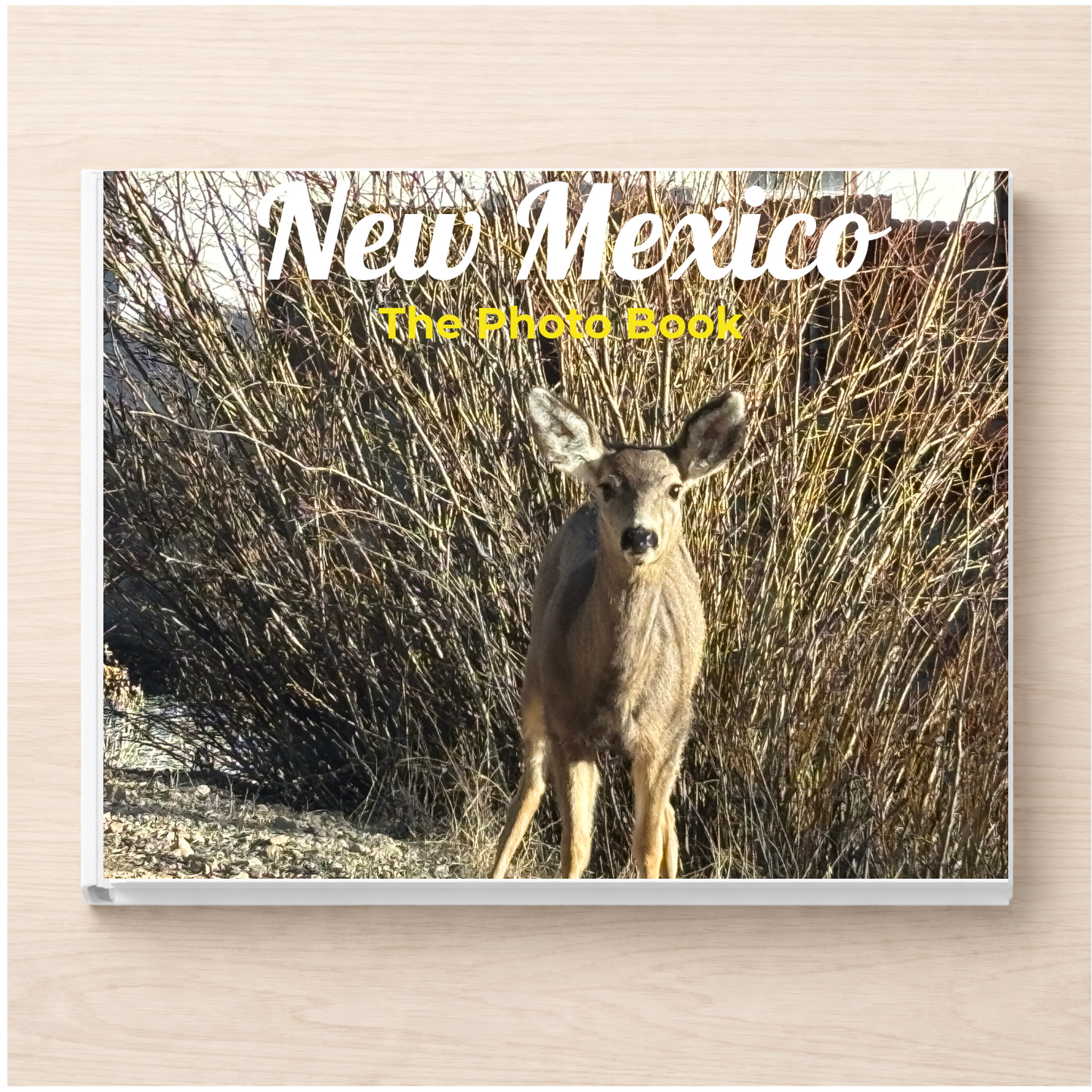 New Mexico: The Photo Book