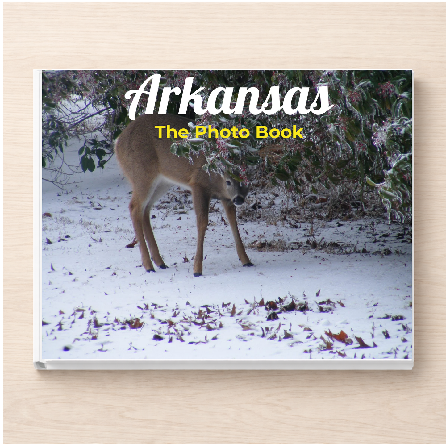 Arkansas: The Photo Book