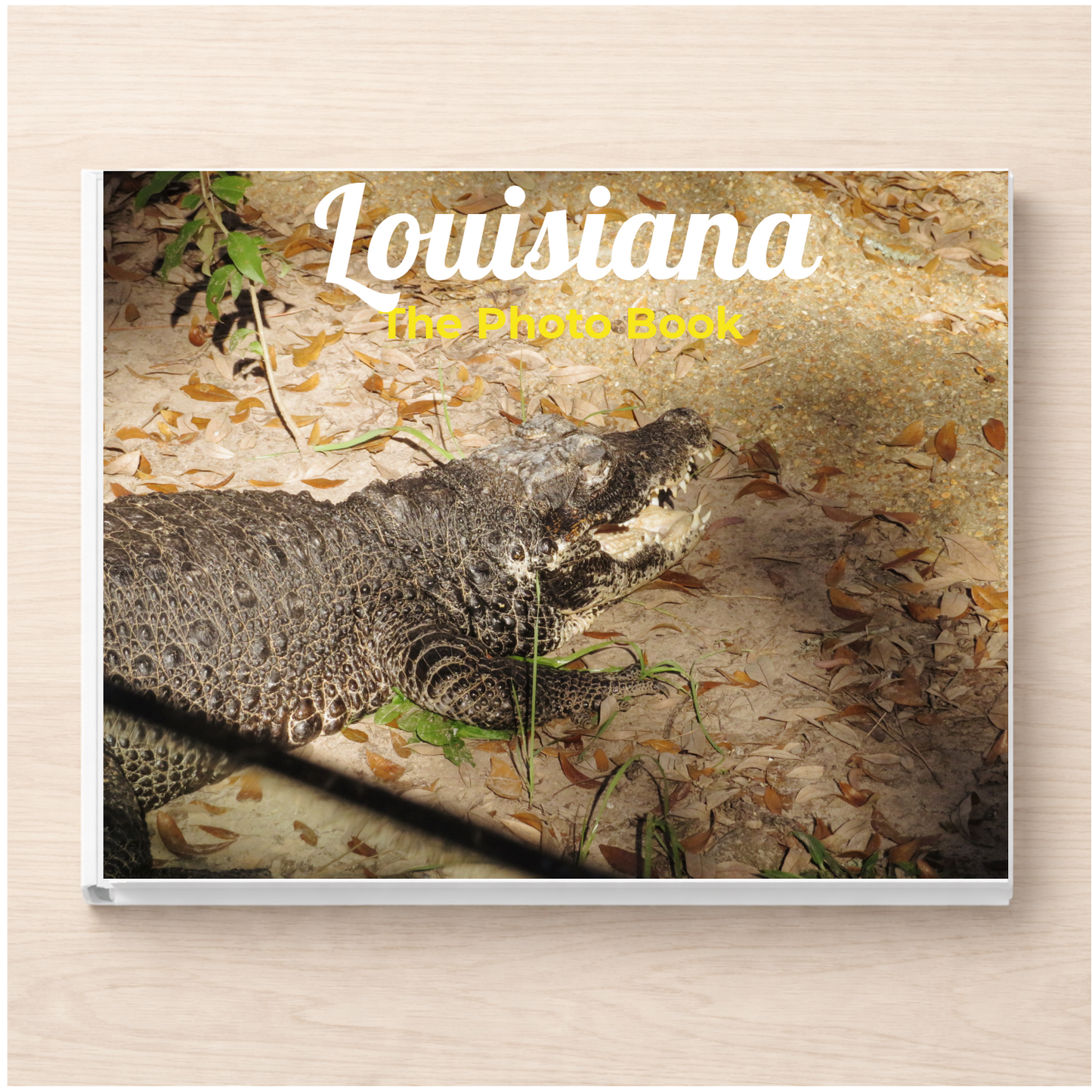 Louisiana: The Photo Book