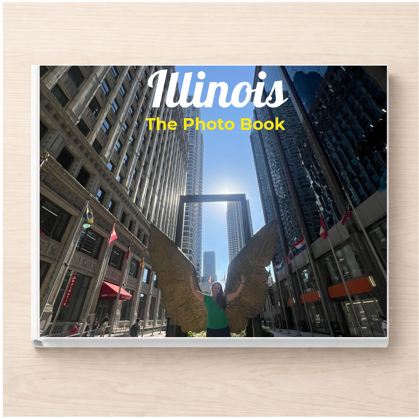 Illinois: The Photo Book