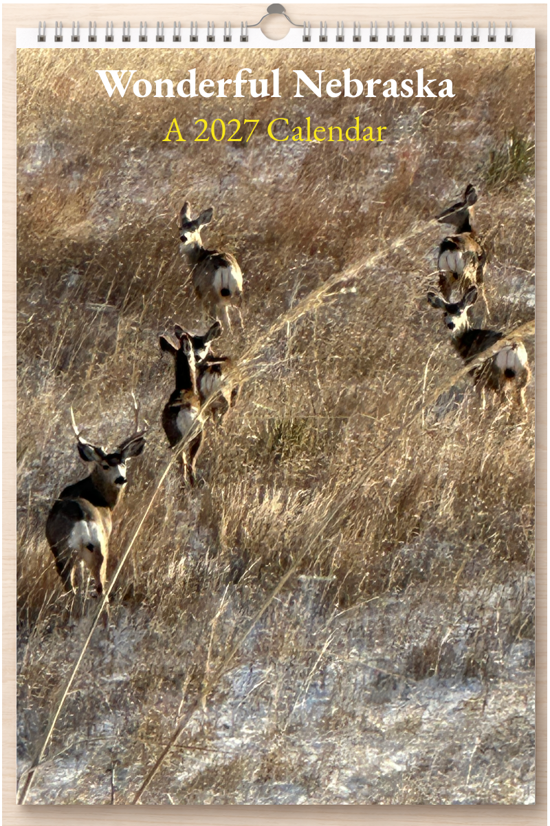 Wonderful Nebraska: A 2027 Calendar
