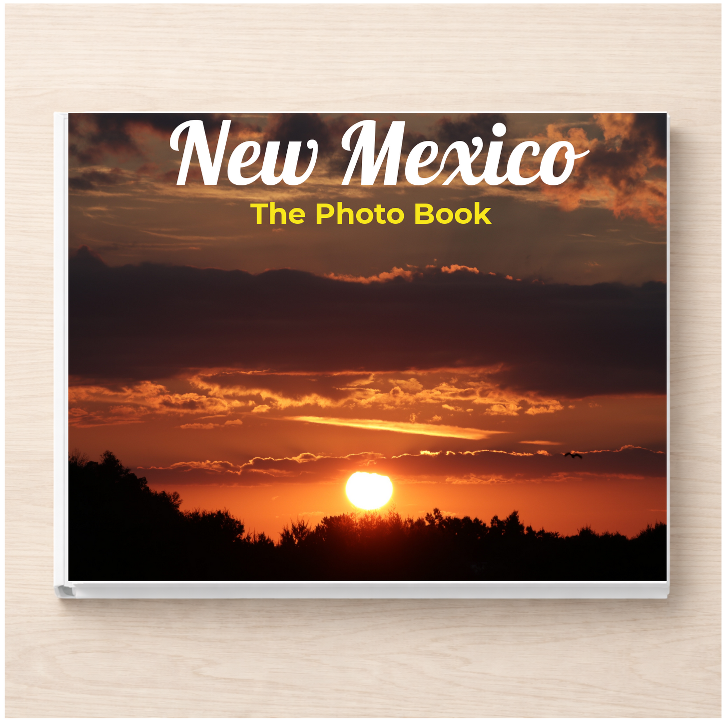 New Mexico: The Photo Book