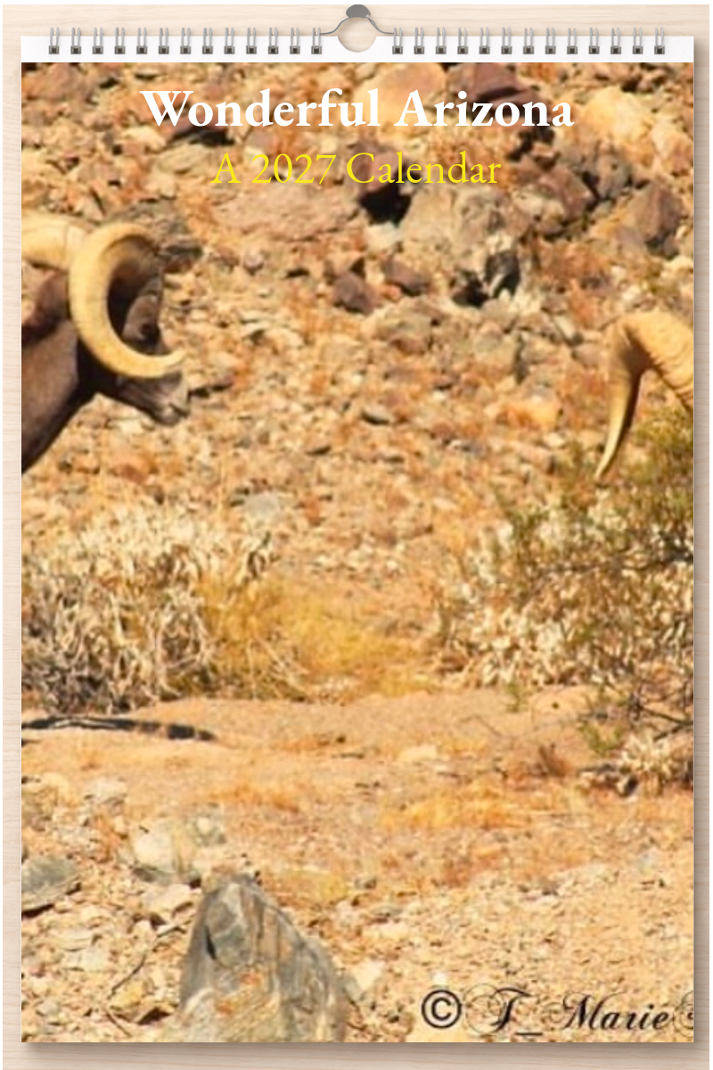 Wonderful Arizona: A 2027 Calendar