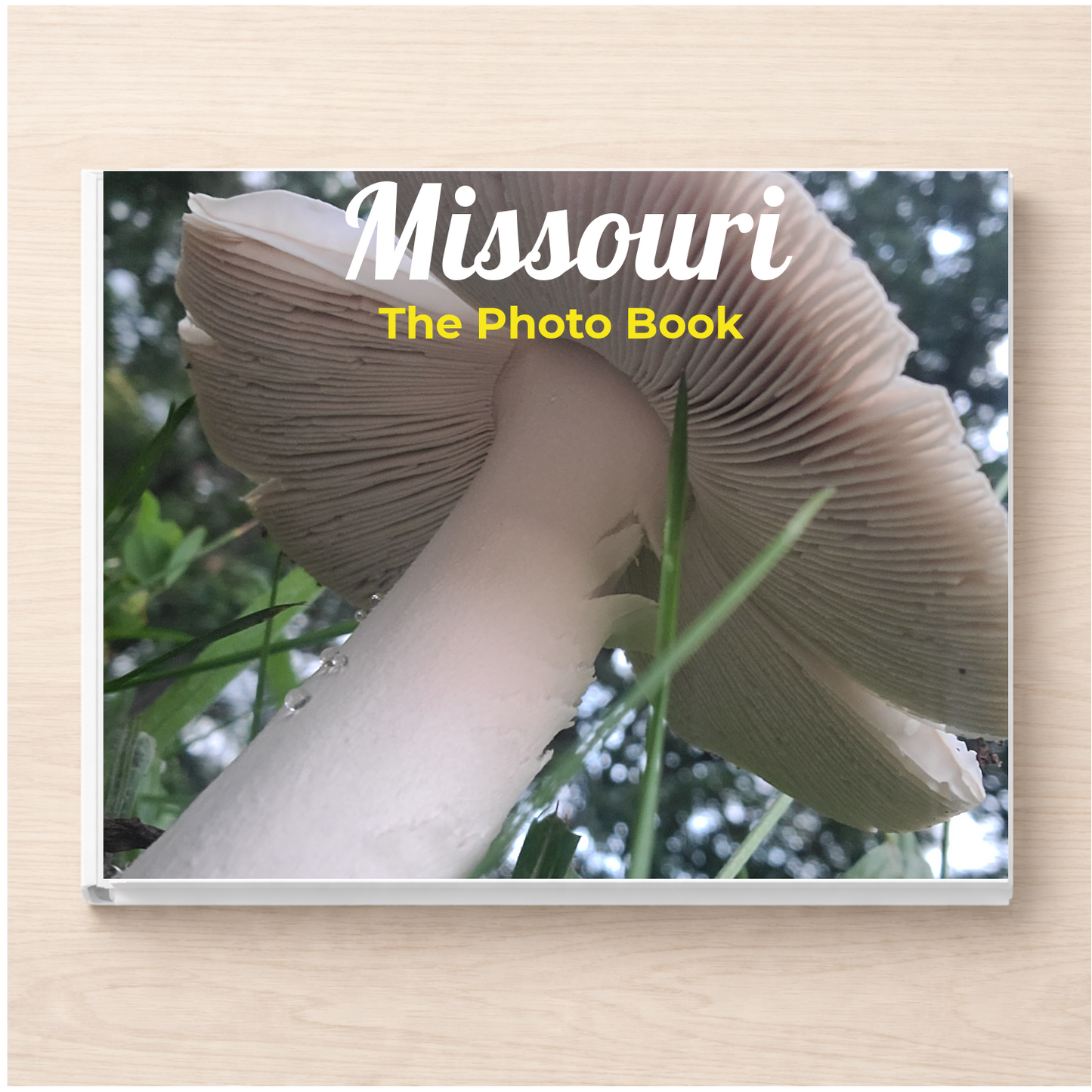 Missouri: The Photo Book
