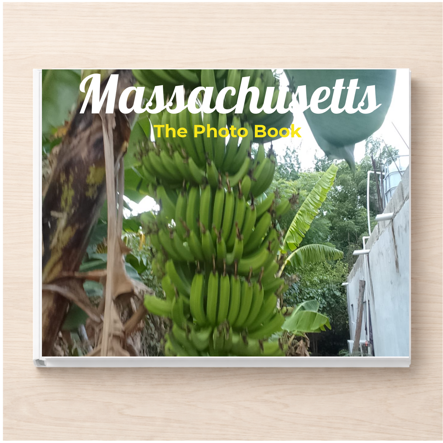 Massachusetts: The Photo Book