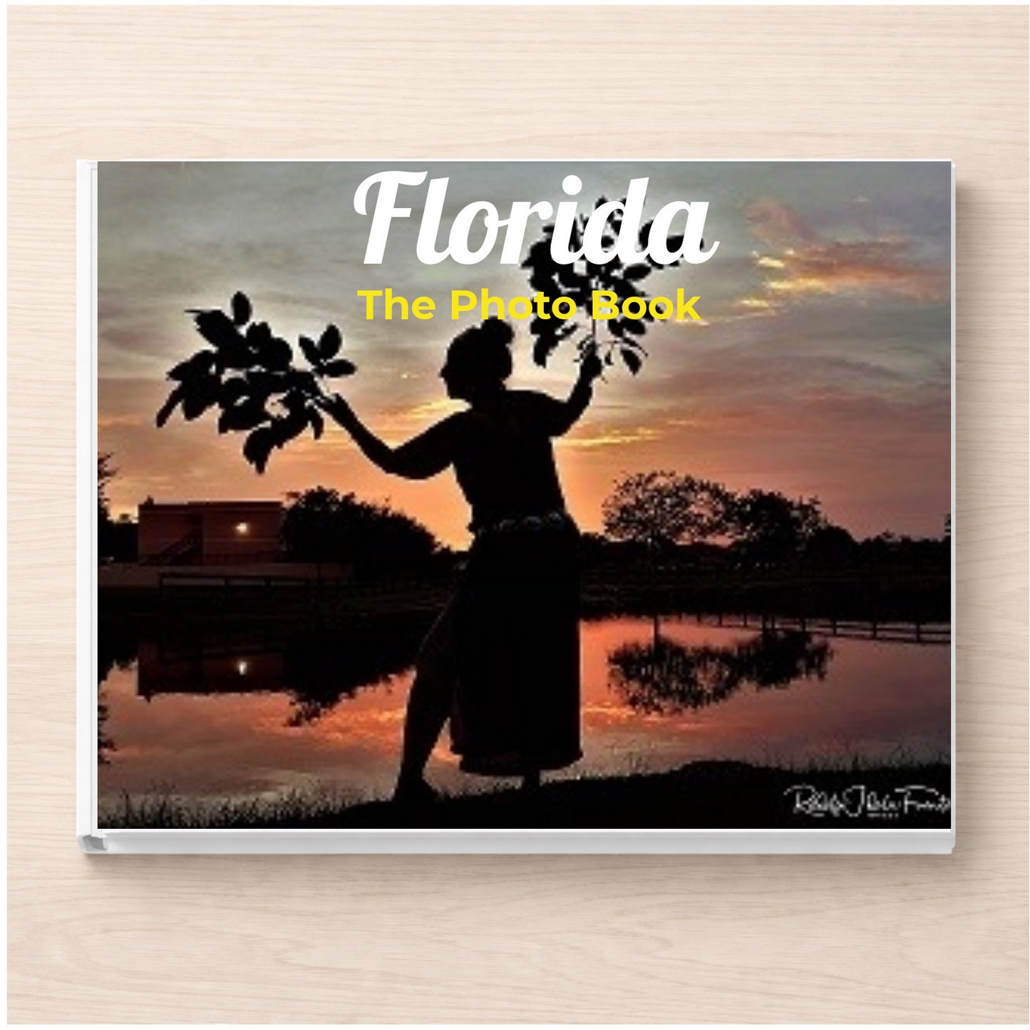 Florida: The Photo Book