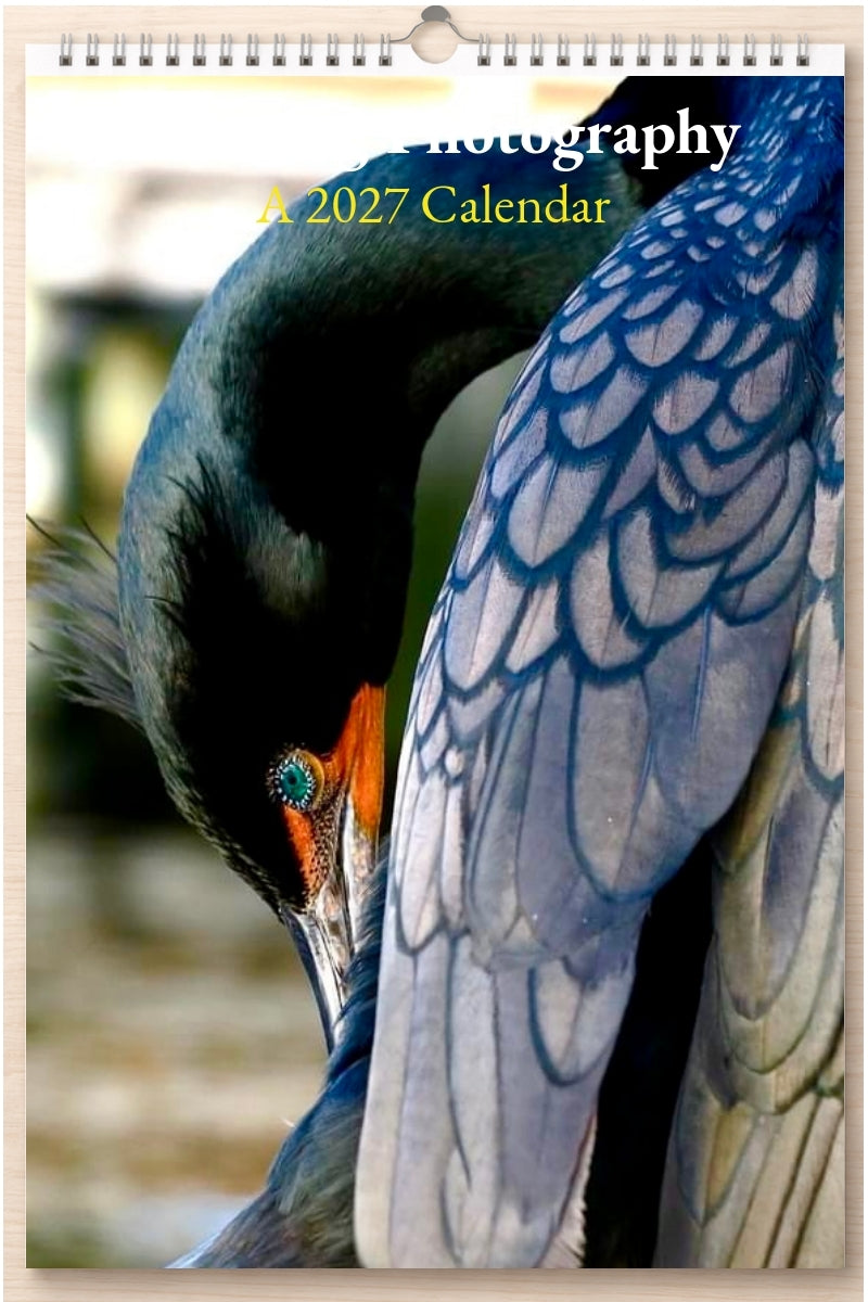Amazing Photography: A 2027 Calendar