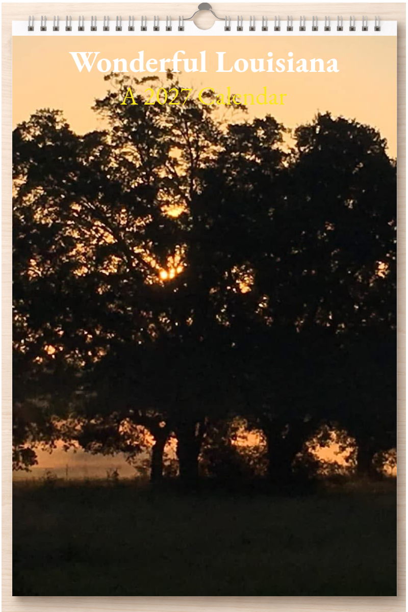 Wonderful Louisiana: A 2027 Calendar