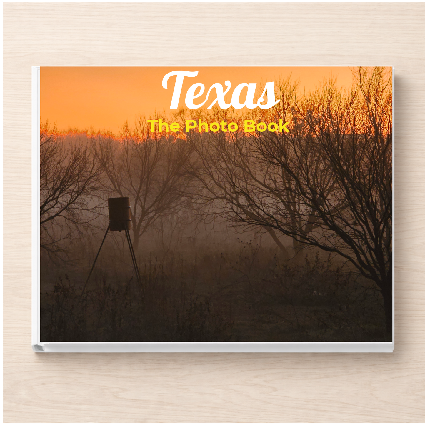 Texas: The Photo Book