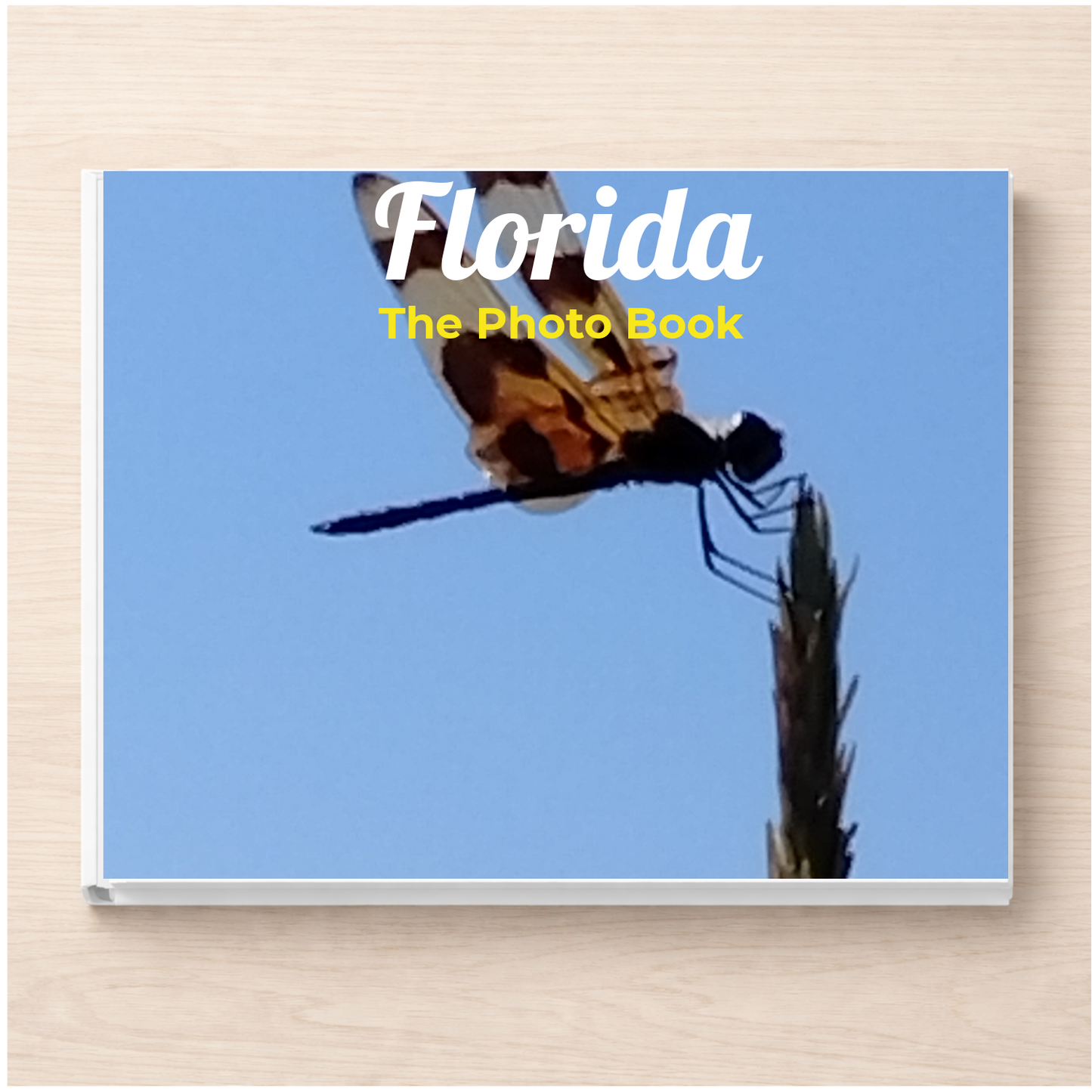 Florida: The Photo Book