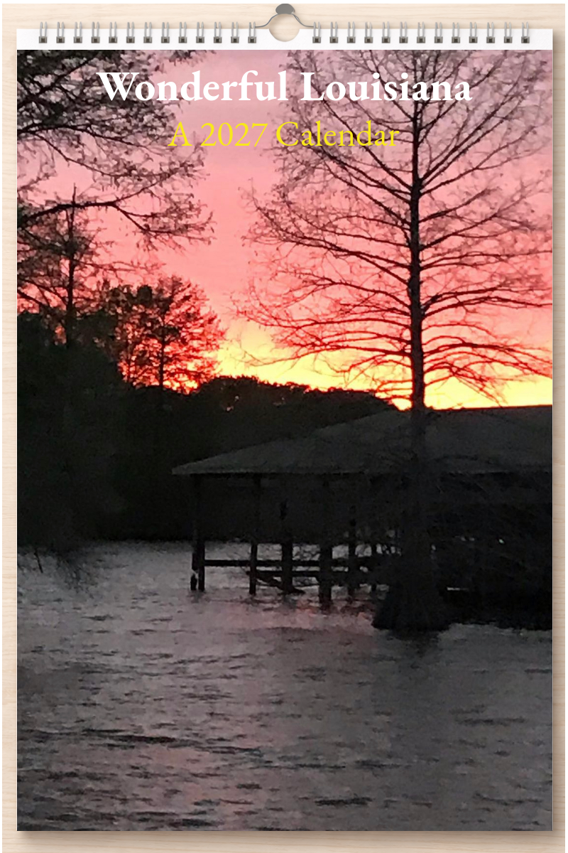 Wonderful Louisiana: A 2027 Calendar