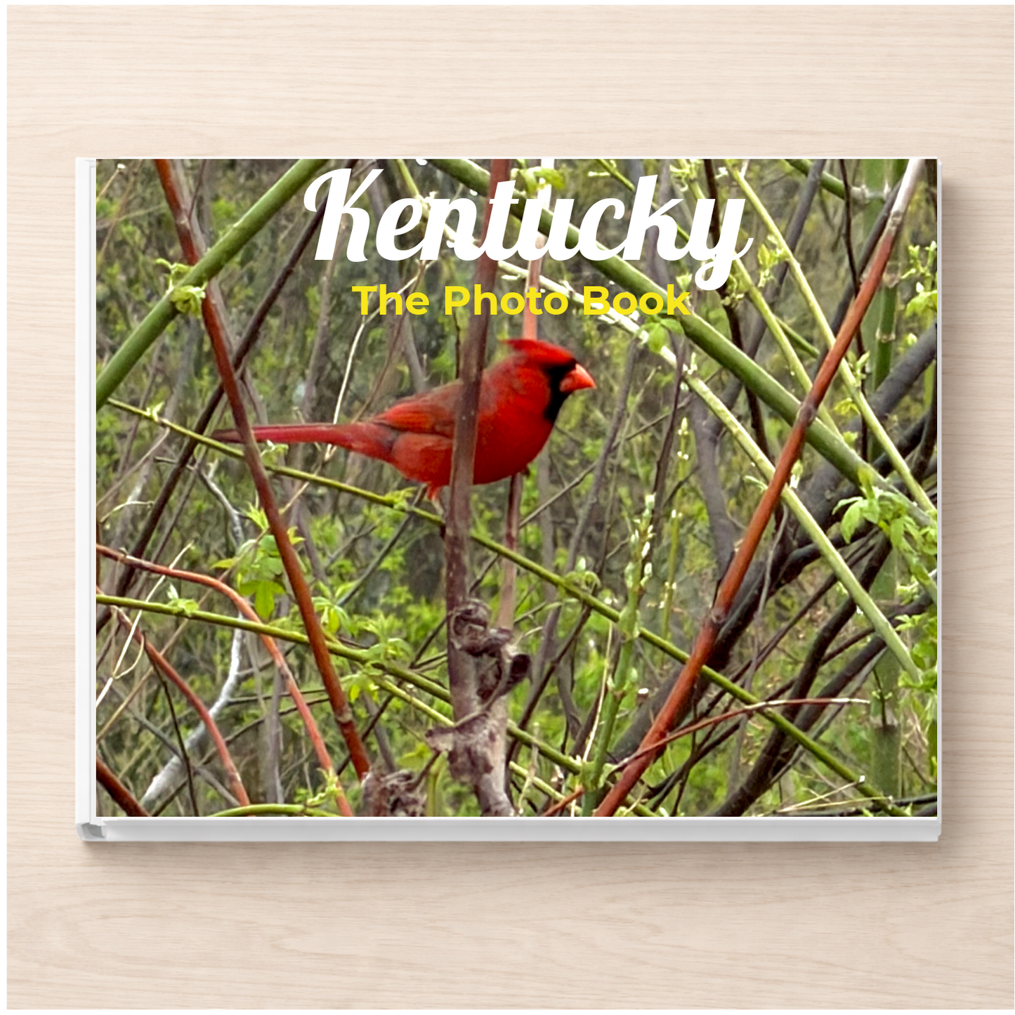 Kentucky: The Photo Book