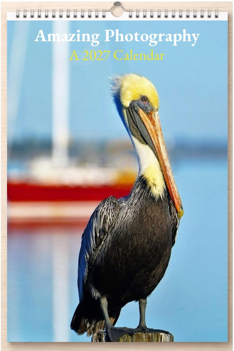 Amazing Photography: A 2027 Calendar