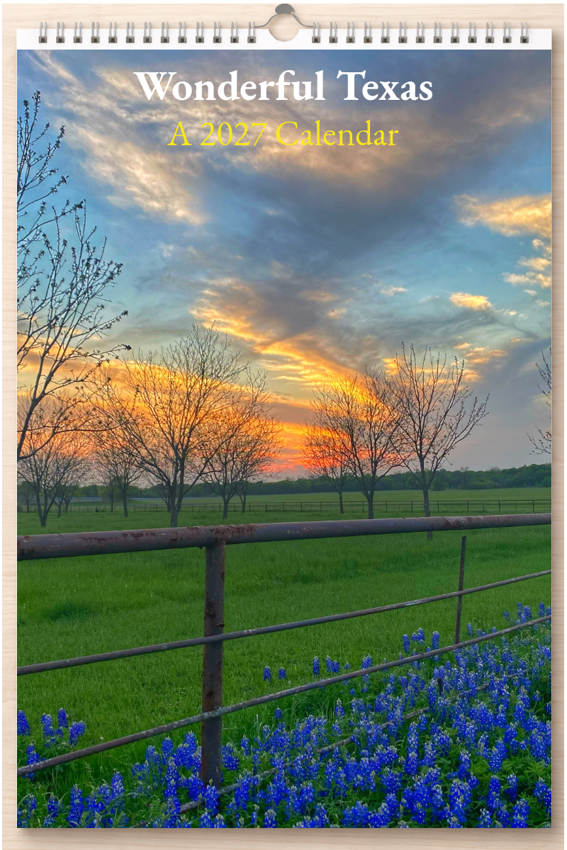 Wonderful Texas: A 2027 Calendar