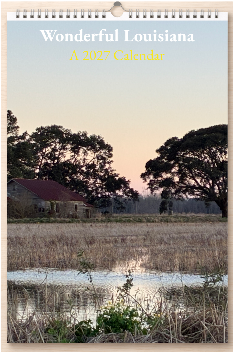 Wonderful Louisiana: A 2027 Calendar