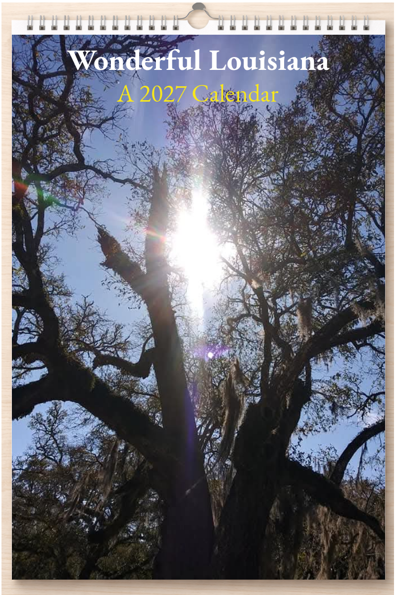 Wonderful Louisiana: A 2027 Calendar