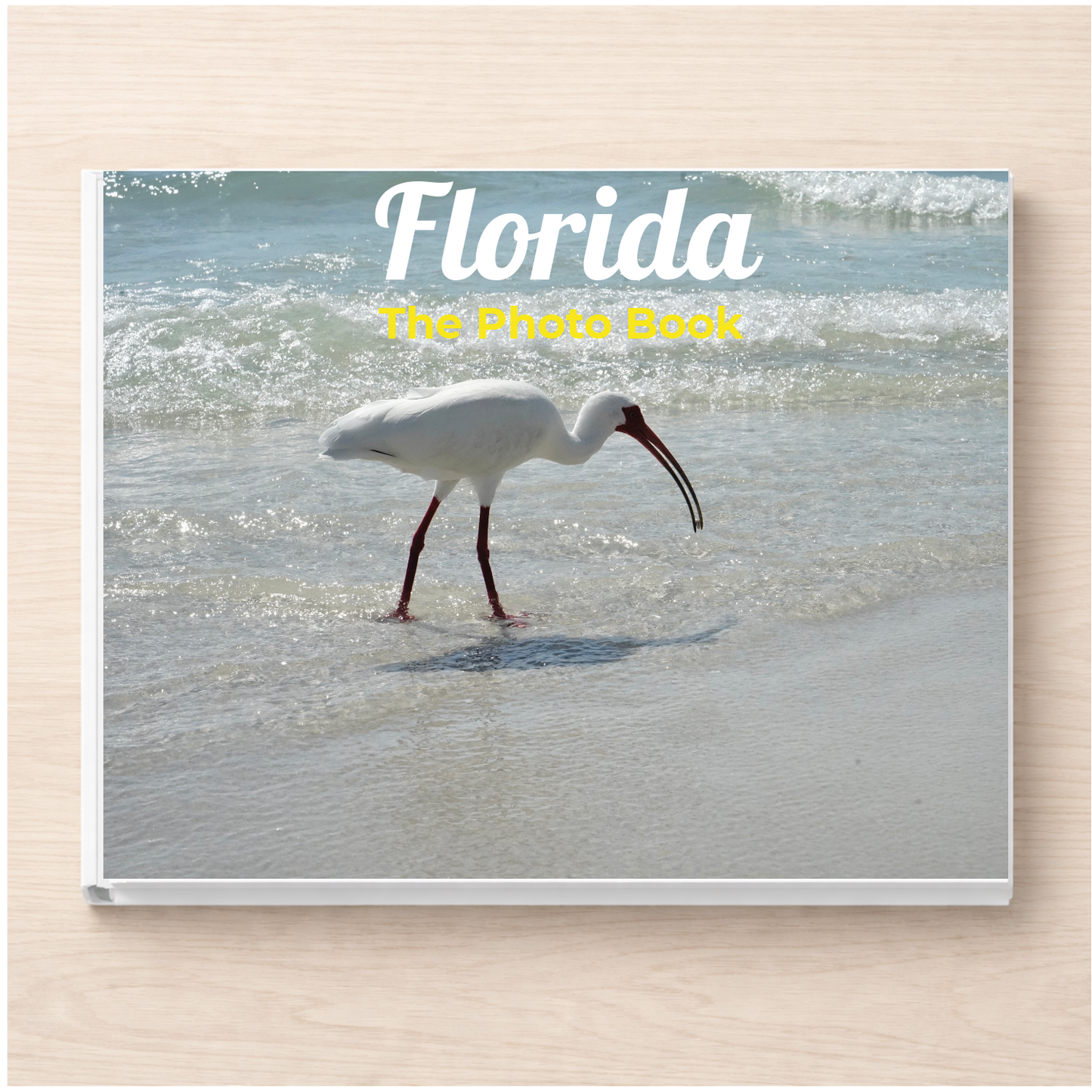 Florida: The Photo Book