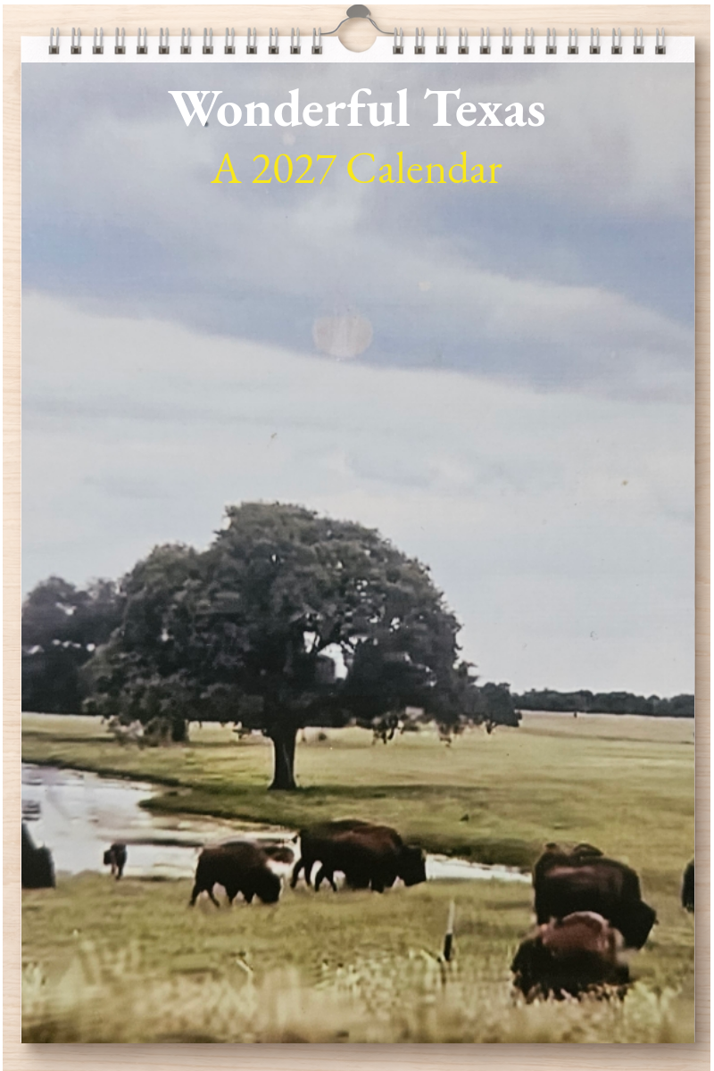 Wonderful Texas: A 2027 Calendar