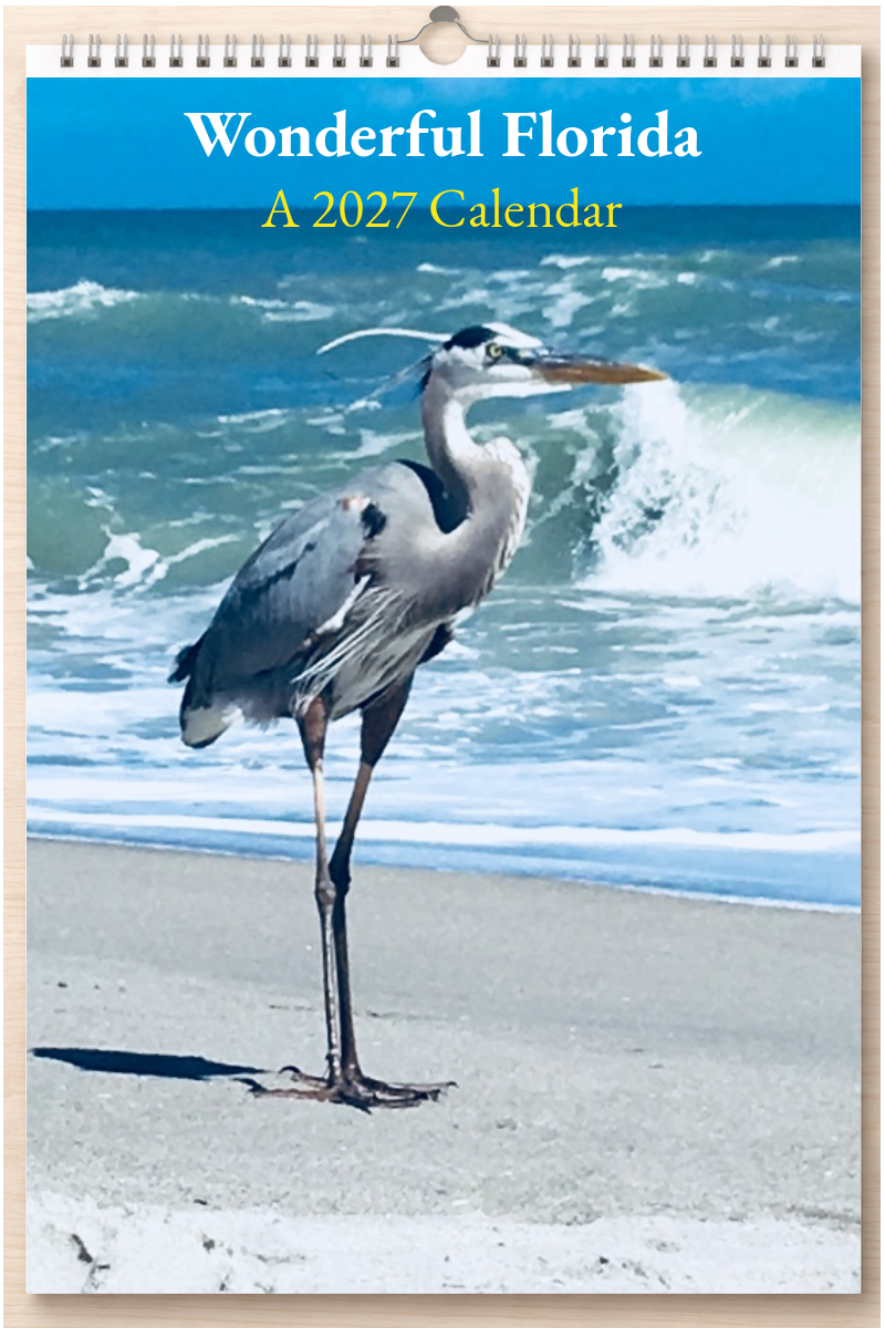 Wonderful Florida: A 2027 Calendar