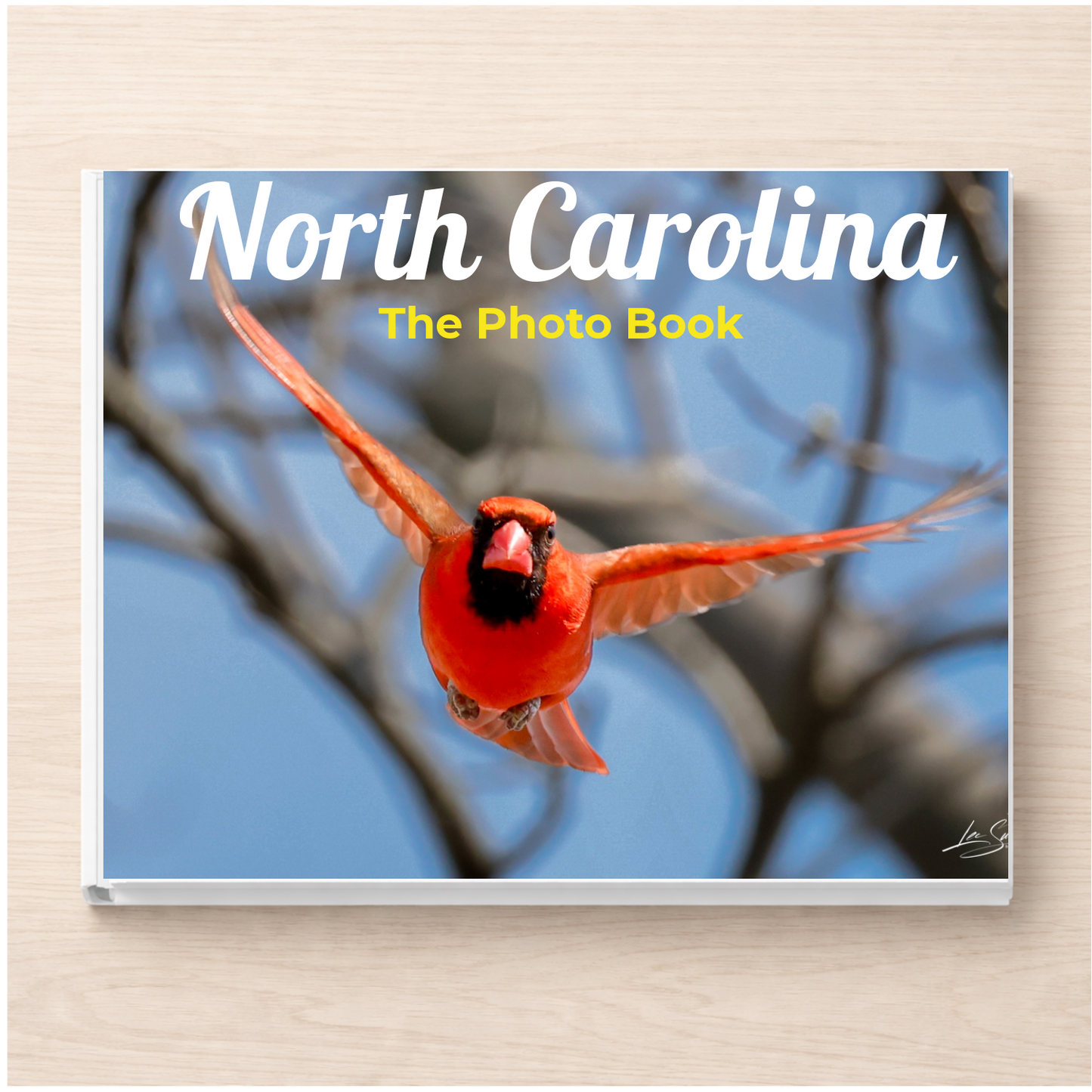 North Carolina: The Photo Book