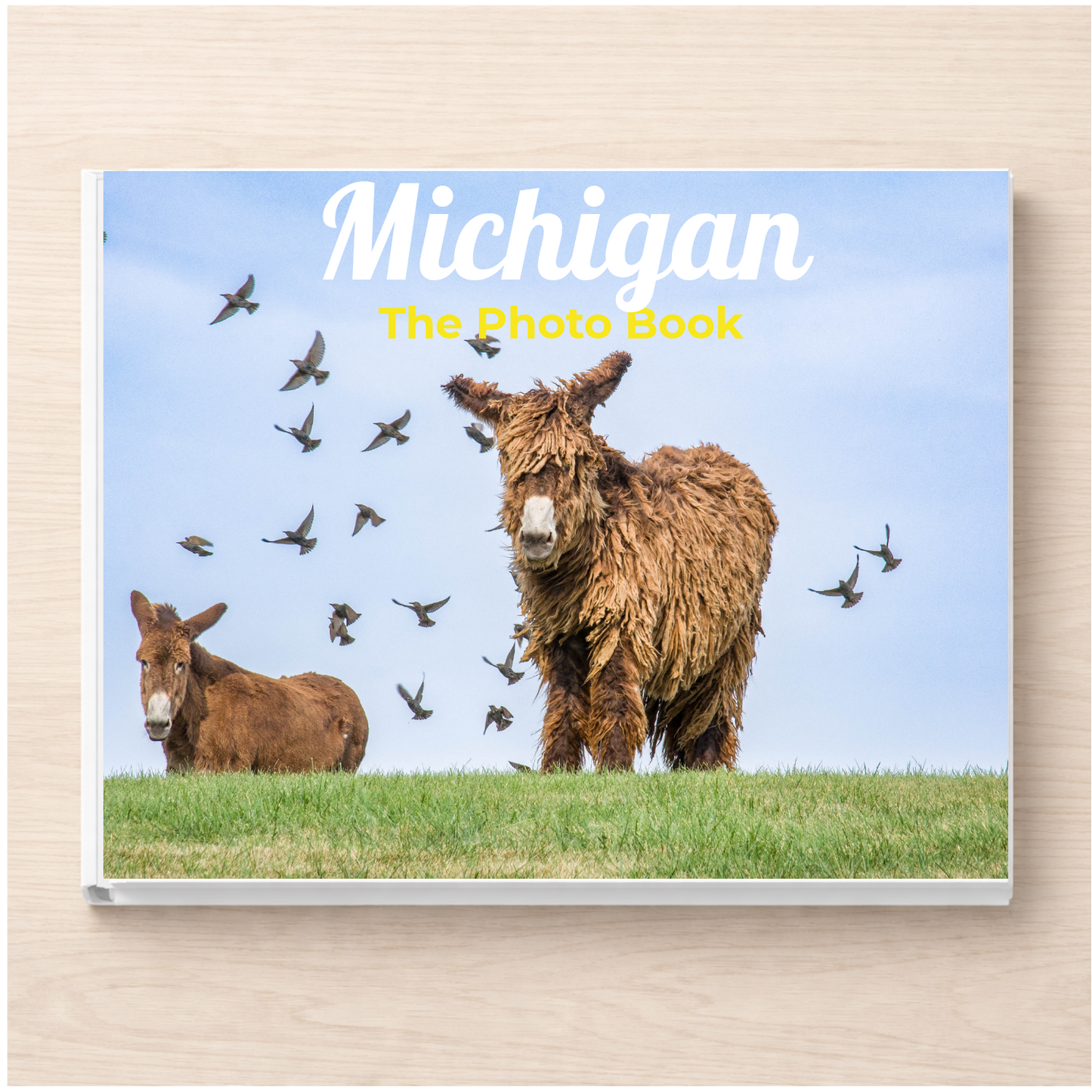 Michigan: The Photo Book
