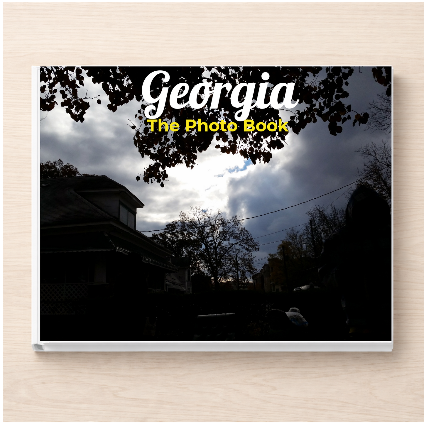Georgia: The Photo Book