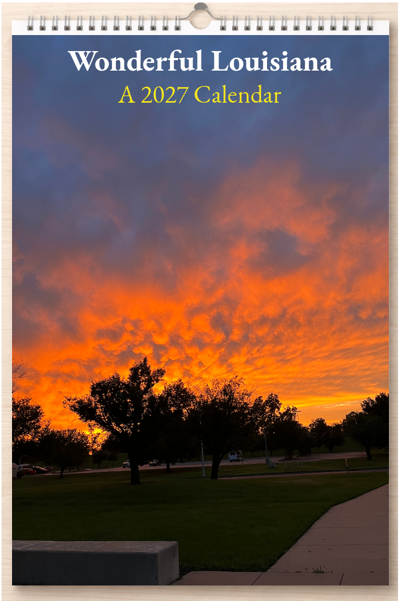 Wonderful Louisiana: A 2027 Calendar