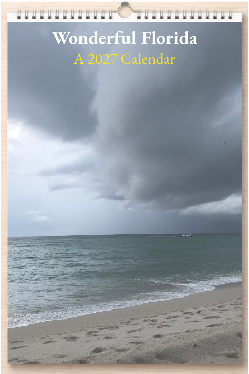 Wonderful Florida: A 2027 Calendar