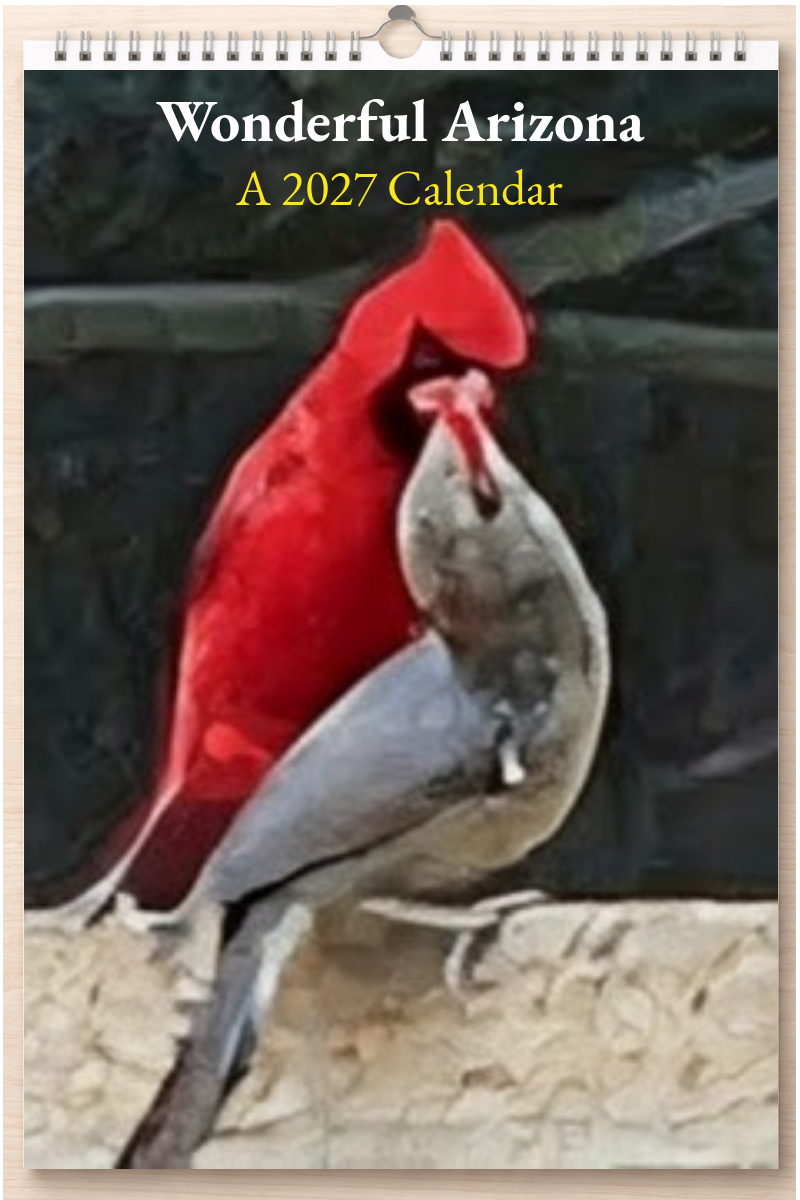 Wonderful Arizona: A 2027 Calendar