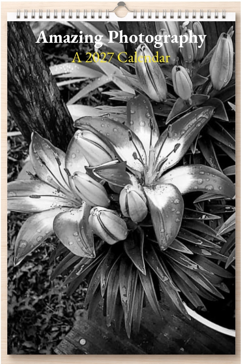 Amazing Photography: A 2027 Calendar